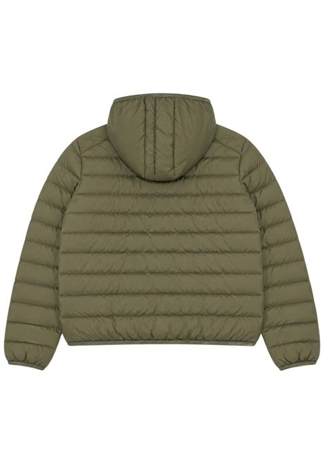 Green padded children's jacket EMPORIO ARMANI | 7B000401VERDE